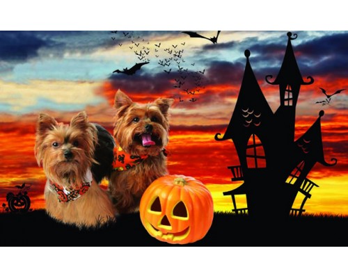 Desk Calendar DC 6